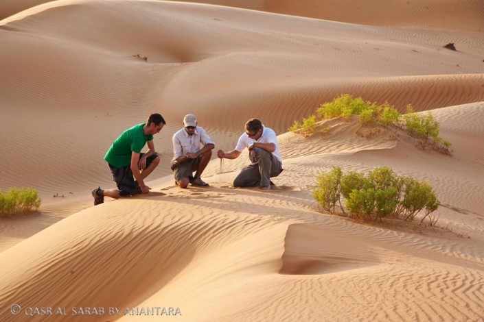 Qasr-Al-Sarab-Desert-Resort-by-Anantara_Desert_walk